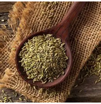 Fresh Organic Fennel Seeds
